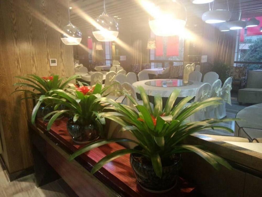 Chengdu Hello Hotel Shuangliu Екстер'єр фото